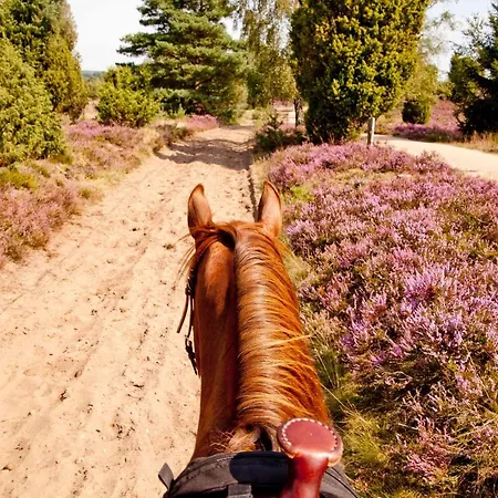 Luette Penzion Egestorf